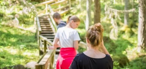 Retkeilijät kulkevat jonossa metsässä pitkospuita pitkin. 