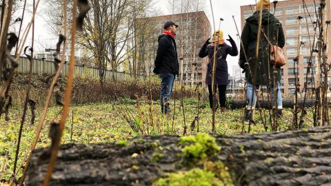 Kolme henkilö seisoo puistoalueella maassa makaavan lahopuun takana.