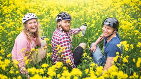People wearing bicycle helmets in a field of yellow flowers.