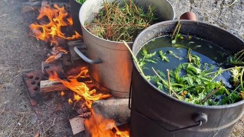 Kaksi pataa lämmityksessä. Padoissa on kiehumassa kasveja.