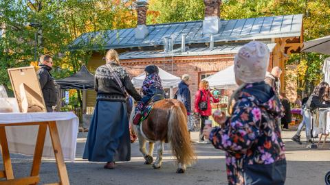 Poniajelua Tallipihalla.