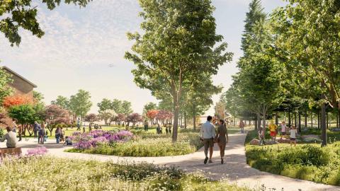 Havainnekuva Hiedanrannan keskuspuiston keskiosasta.