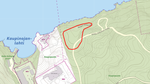 Kaupin puunkaadot kartalla.