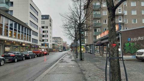 Poistettavia puita Puutarhakadulla 2025.