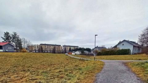 Puistokäytavä avoimelle viheralueella, kauempana omakotitaloja ja kerrostaloja.