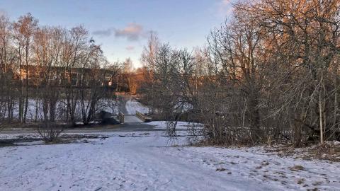 Polku lumisessa Korkinmäenpuistossa kevättalvella.