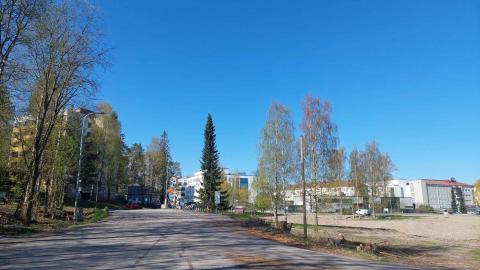 Katualuetta, puita ja kerrostaloja.