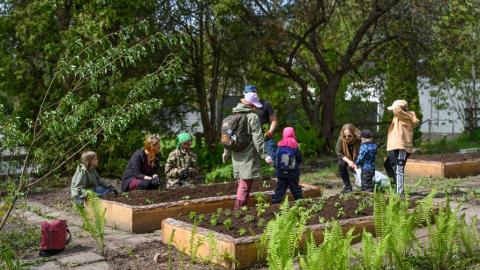 Haihara's garden has many seedling planters.