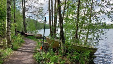 There are rowing boats by the lake and a narrow sandy path through deciduous forest.