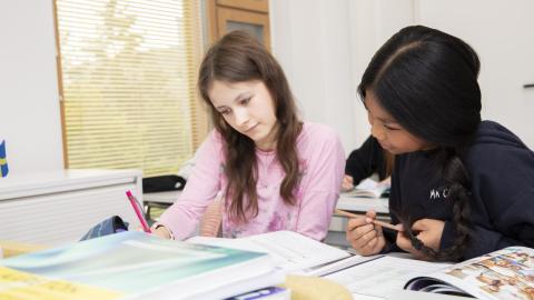 Schools start with two pupils at a desk