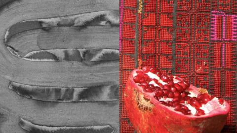 Harmaasävyinen mustepiirros, jonka vieressä kuva halkaistusta granaattiomenasta jonka taustalla punainen kangas.