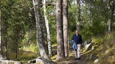 Henkilö kävelee puiden reunustamaa metsäpolkua pitkin.