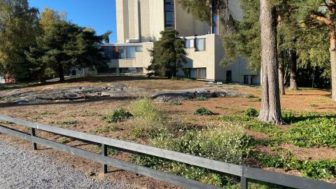 Liisanpuiston ketoa kuvattuna syksyllä.