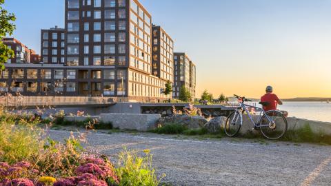 Kuvassa kerrostaloja, taivasta, kasveja edustalla ja järvmaisemaa taustalla.