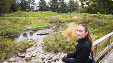 Person in a dark coat stands on a bridge, admiring a brook in a beautiful environment.