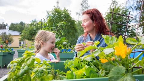 A woman and a young girl tasting the produce from the kitchen garden.