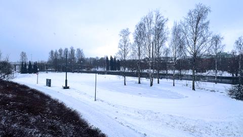 Hiihtolatu Ratinnanniemessä