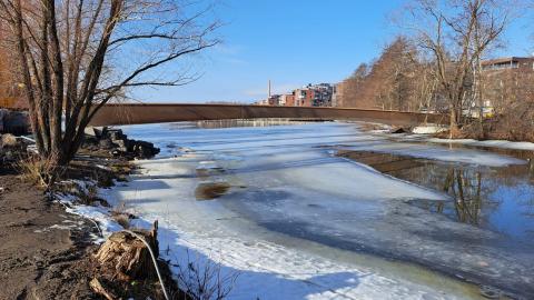 Vesitehtaansillan palkit Viinikanlahdessa kuvattuna keväällä.