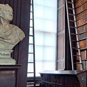 A library building with one wall filled with books and a statue on the left side.
