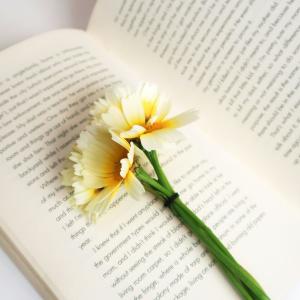 Avoin kirja, jonka vasemman sivun päällä on yksi vaalea kukka. 