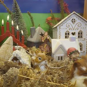 Osa Juhannuskylän koulun biologian joulukalenterivitriinistä. Kuvassa pieniä jouluisia hamoja ja kynttelikkö.