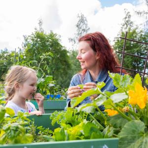 A woman and a young girl tasting the produce from the kitchen garden.