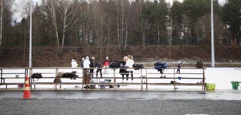 People on the edge of an ice field.
