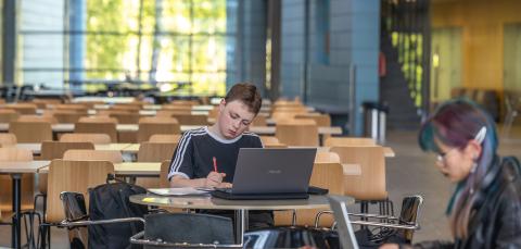 Opiskelua aikuislukion aulassa