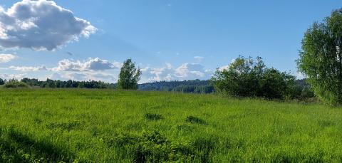 Hevoshaka meadow in Iidesjärvi.