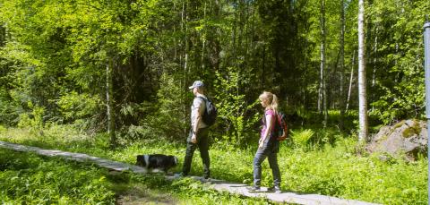 Kaksi retkeilijää koiran kanssa metsässä pitkospuilla.