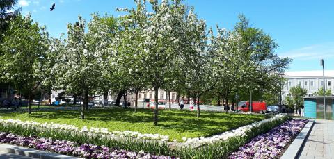 Kirjastonpuiston kukka-aukio