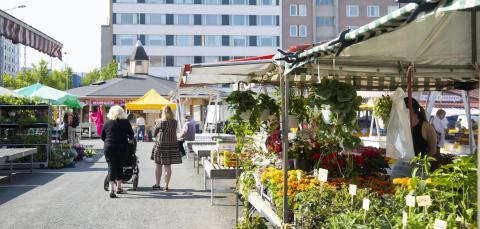 Ihmisiä ja myyntikojuja Tammelan torilla.