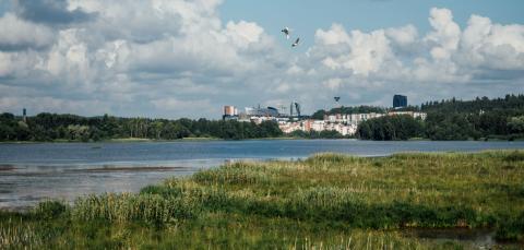 Kuvassa on Iidesjärven rantaniitty ja järven taustalla Tampereen kaupunkikuvan silhuetti.