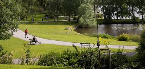 A view to the Arboretum shore, where people relax on a sunny summer day...