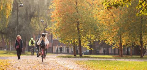 People cycling and walking in Sorsapuisto on a beautiful autumn day.