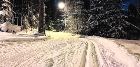 Skiing trails in the evening light.