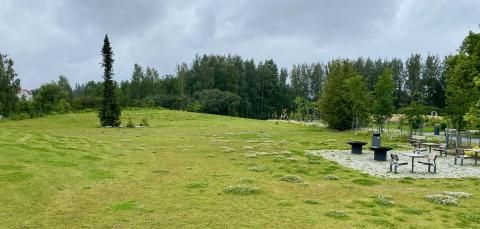 K. J. Gauffinin puiston nurmialue ja grillauspaikka.