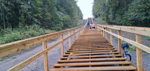 Puiset kuntoportaat rinteessä.