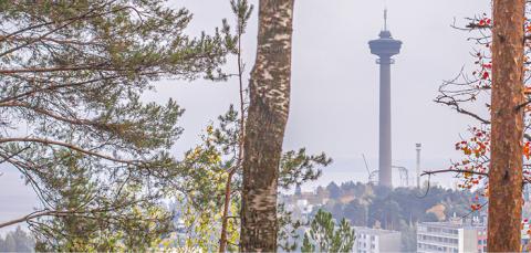 Näsinneula ja Särkänniemi pilkottavat syksyisten puiden takaa.
