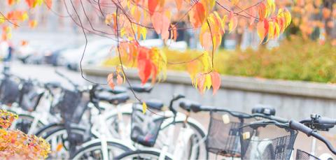 Kaupunkipyöriä parkissa Keskustorilla. Syksyiset värit puissa ja pensaissa.