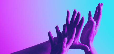 pajaston bannerikuva