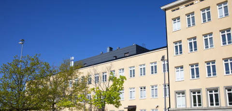 Nekalan koulu sinistä taivasta vasten, puut edessä kevätlehdessä.