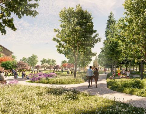 Havainnekuva Hiedanrannan keskuspuiston keskiosasta.