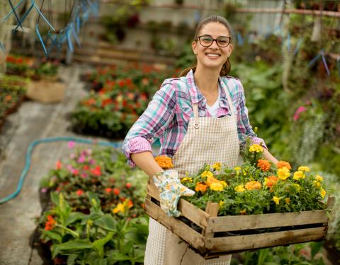 Kuvassa nuori nainen, jolla käsissään kukkia laatikossa
