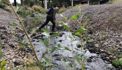 Henkilö loikkii ojan yli kiviä pitkin.