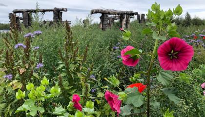 Kukkaniitty, jonka takana näkyy Woodhenge-puutaideteos.