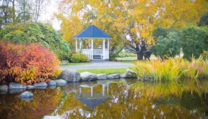 Hatanpään arboretumin huvimaja heijastuu lammen pinnassa. On syksy, ja lehdet ovat värikkäitä.