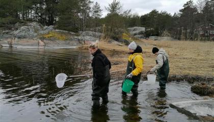 opiskelijoita kahlaamassa