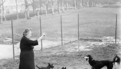 A Haihara hostess trains dogs in the park.