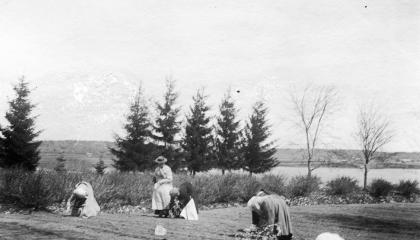 Women planting in the fields of Haihara.